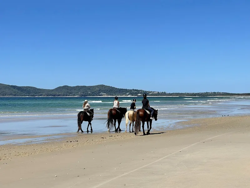 Horse Riding