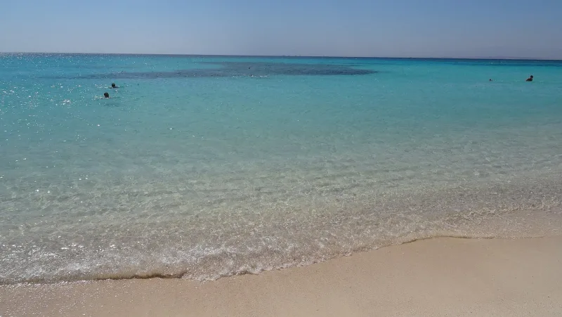 Mahmya Island Trip