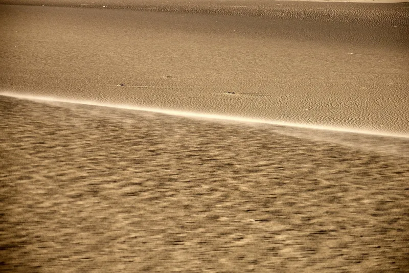 Private Desert Safari