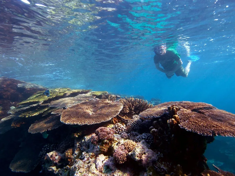 Private Snorkelling Tour